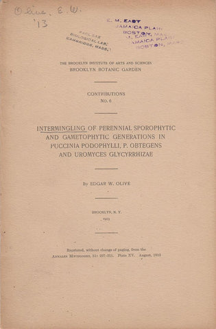 Intermingling of Perennial Sporophytic and Gametophytic Generations in Puccinia Podophylli, P. Obtegens and Uromyces Glycyrrhizae