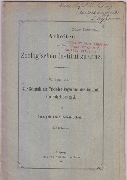 Zur Kenntnis der Tricladen-Augen und der Anatomie von Polycladus gayi  by Schmidt, Adele Therese