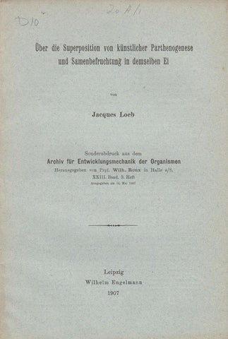 Uber die Superposition von kunstlicher Parthenogenese und Samenbefruchtung in demselben Ei