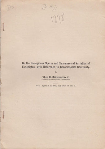 On the Dimegalous Sperm and Chromosomal Variation of Euschistus, with Reference to Chromosomal Continuity