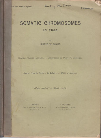 Somatic Chromosomes in Vicia