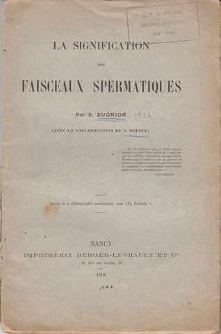 La Signification des Faisceaux Spermatiques