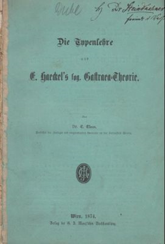 Die Typenlehre und E. Haeckel's sog. Gastraea-Theorie