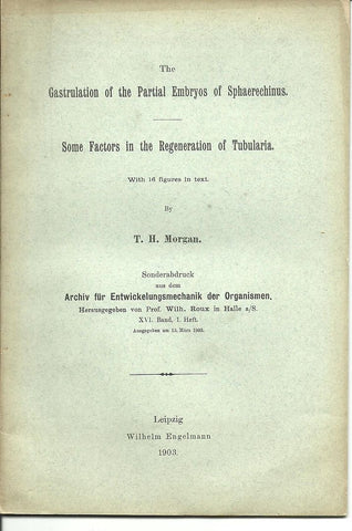 The Gastrulation of the Partial Embryos of Sphaerechinus.  Some Factors in the Regeneration of Tubularia