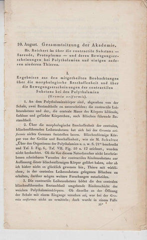 Ueber die contractile Substanz (Sarcode, Protoplasma) und ihre Bewegungs-Erscheinungen bei Polythalamien und einigen anderen niederen Theiren