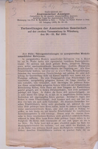 Teilungserscheinungen an quergestreiften Muskeln menschlicher Embryonen. Sonder-Abdruck aus: Anatomischer Anzeiger