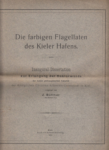 Die farbigen Flagellaten des Kieler Hafens